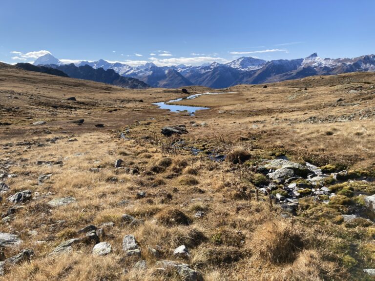 Herfst HM 3 768x576